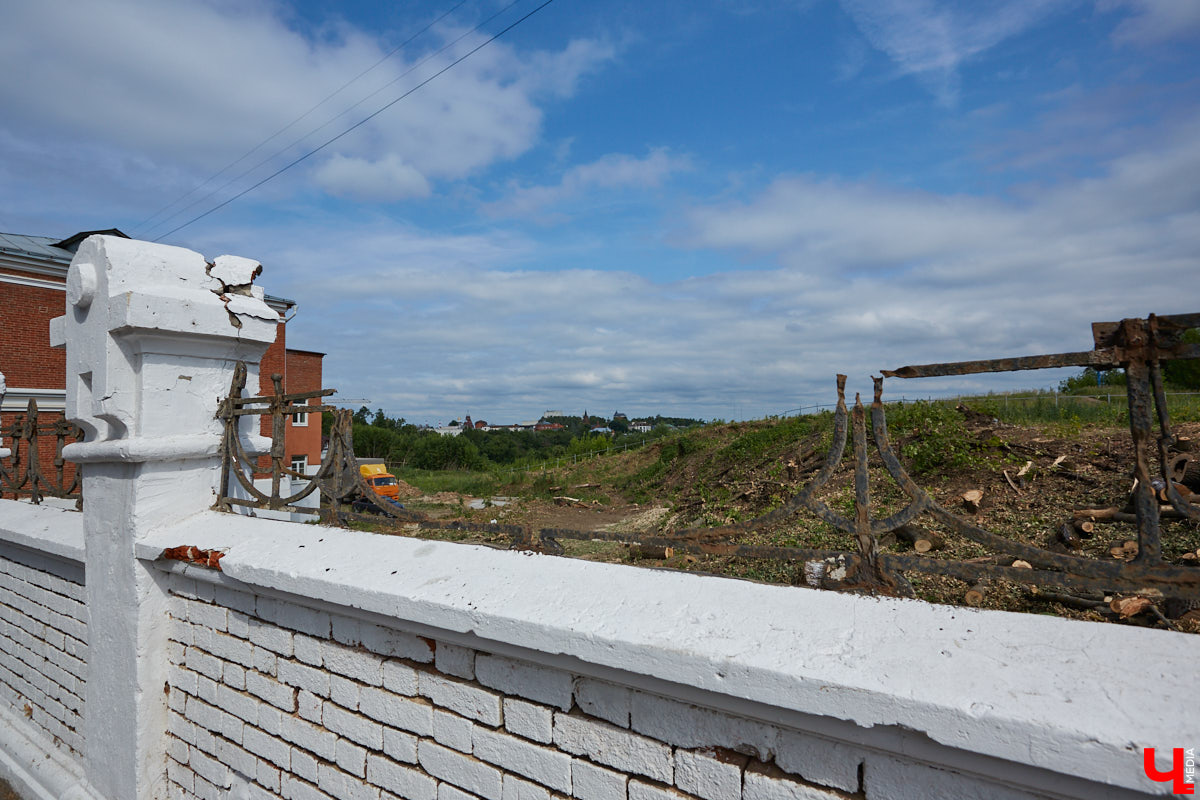 Во Владимире царит жара, и единственное, что хочется в такую погоду, находясь на солнцепеке, – укрыться в тени развесистой кроны деревьев. А сделать это в нашем городе в последнее время все труднее.