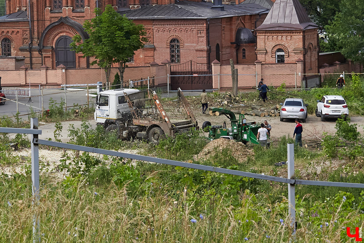 Во Владимире царит жара, и единственное, что хочется в такую погоду, находясь на солнцепеке, – укрыться в тени развесистой кроны деревьев. А сделать это в нашем городе в последнее время все труднее.