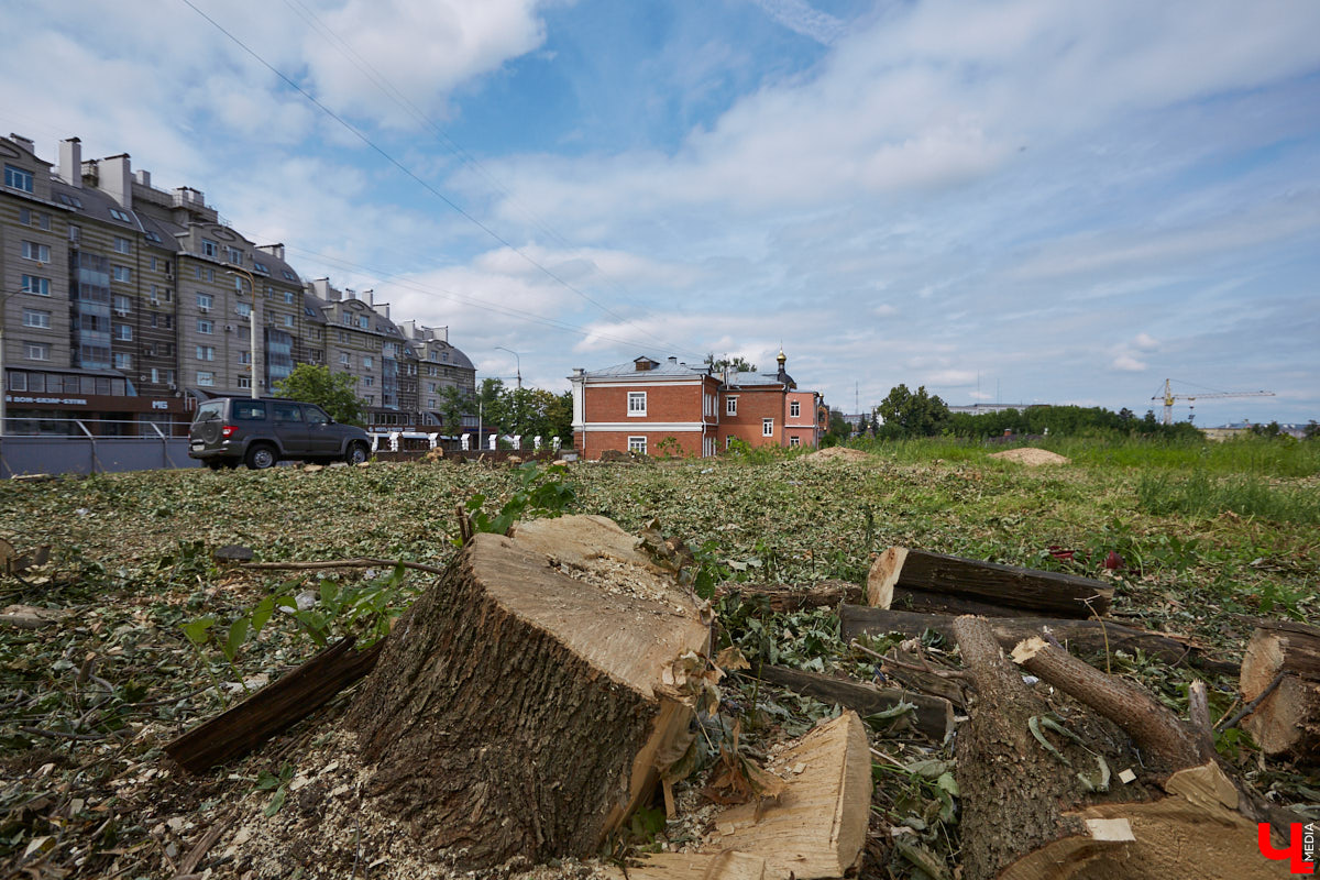 Во Владимире царит жара, и единственное, что хочется в такую погоду, находясь на солнцепеке, – укрыться в тени развесистой кроны деревьев. А сделать это в нашем городе в последнее время все труднее.