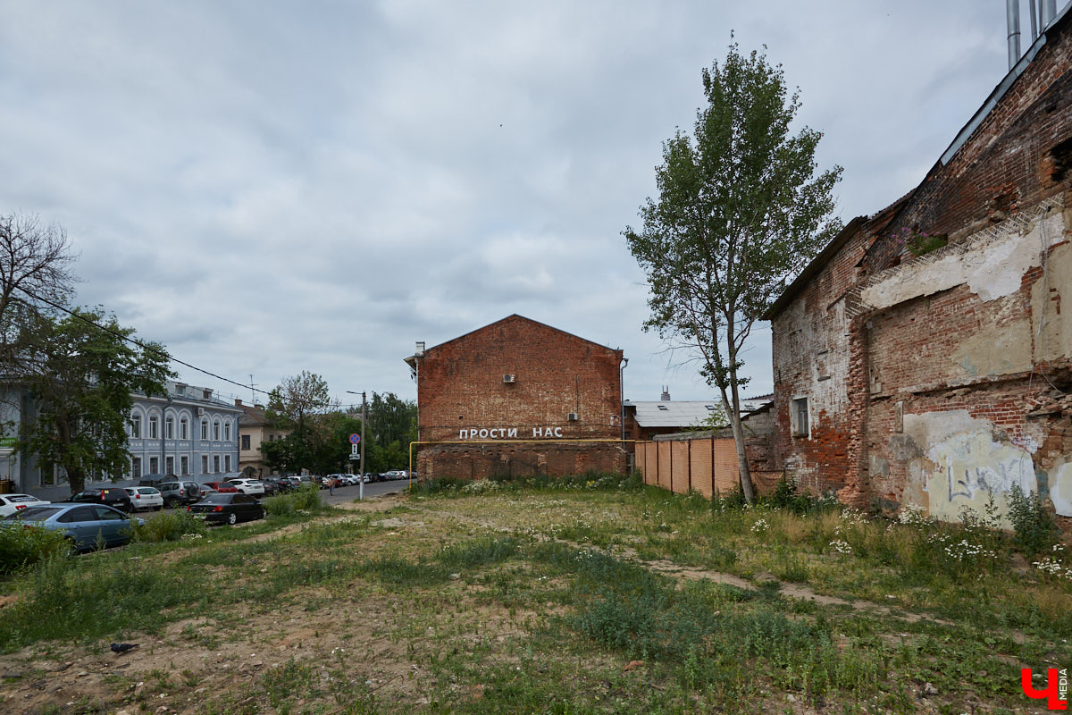 Во Владимире царит жара, и единственное, что хочется в такую погоду, находясь на солнцепеке, – укрыться в тени развесистой кроны деревьев. А сделать это в нашем городе в последнее время все труднее.