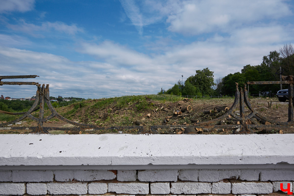 Во Владимире царит жара, и единственное, что хочется в такую погоду, находясь на солнцепеке, – укрыться в тени развесистой кроны деревьев. А сделать это в нашем городе в последнее время все труднее.