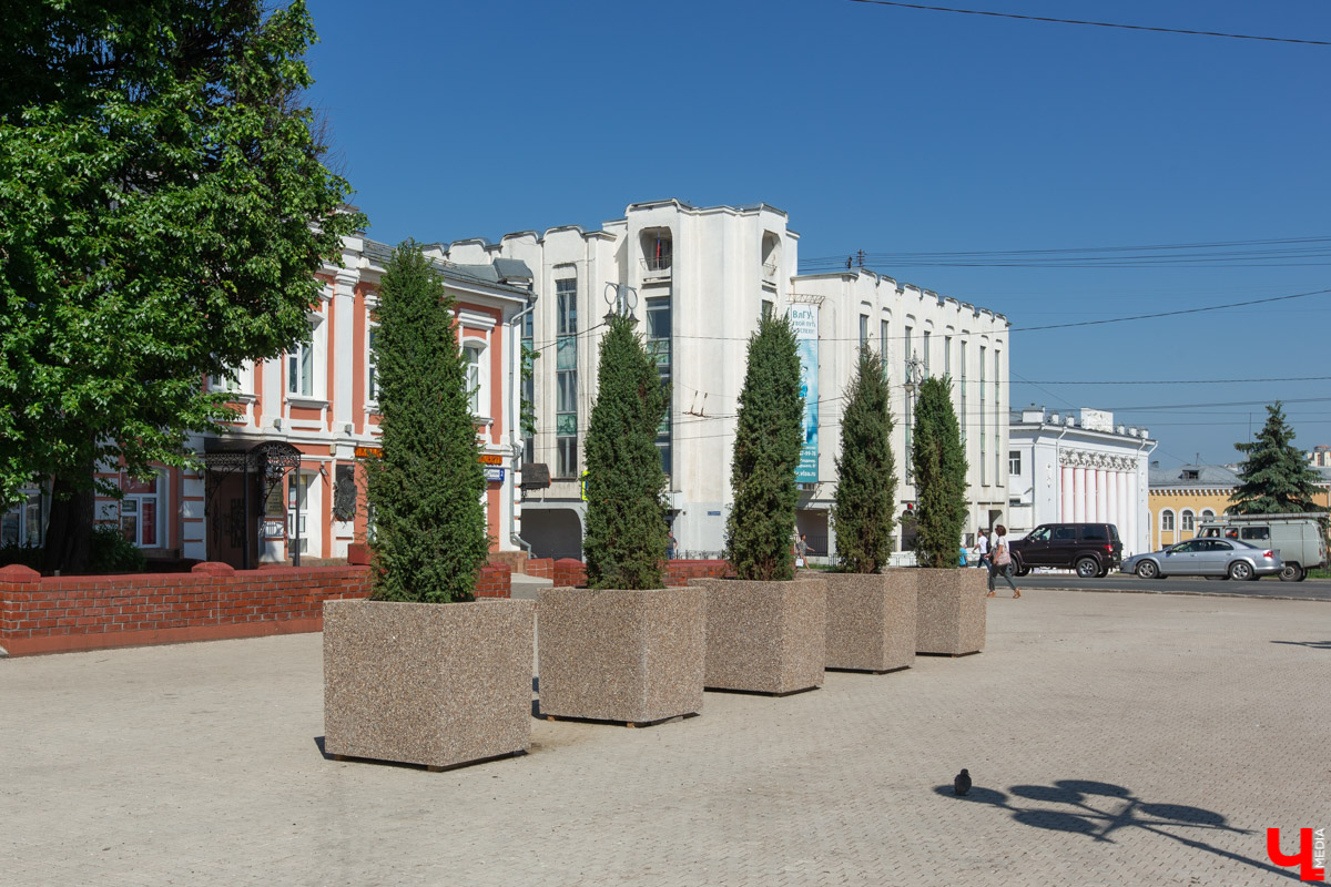 Во Владимире царит жара, и единственное, что хочется в такую погоду, находясь на солнцепеке, – укрыться в тени развесистой кроны деревьев. А сделать это в нашем городе в последнее время все труднее.