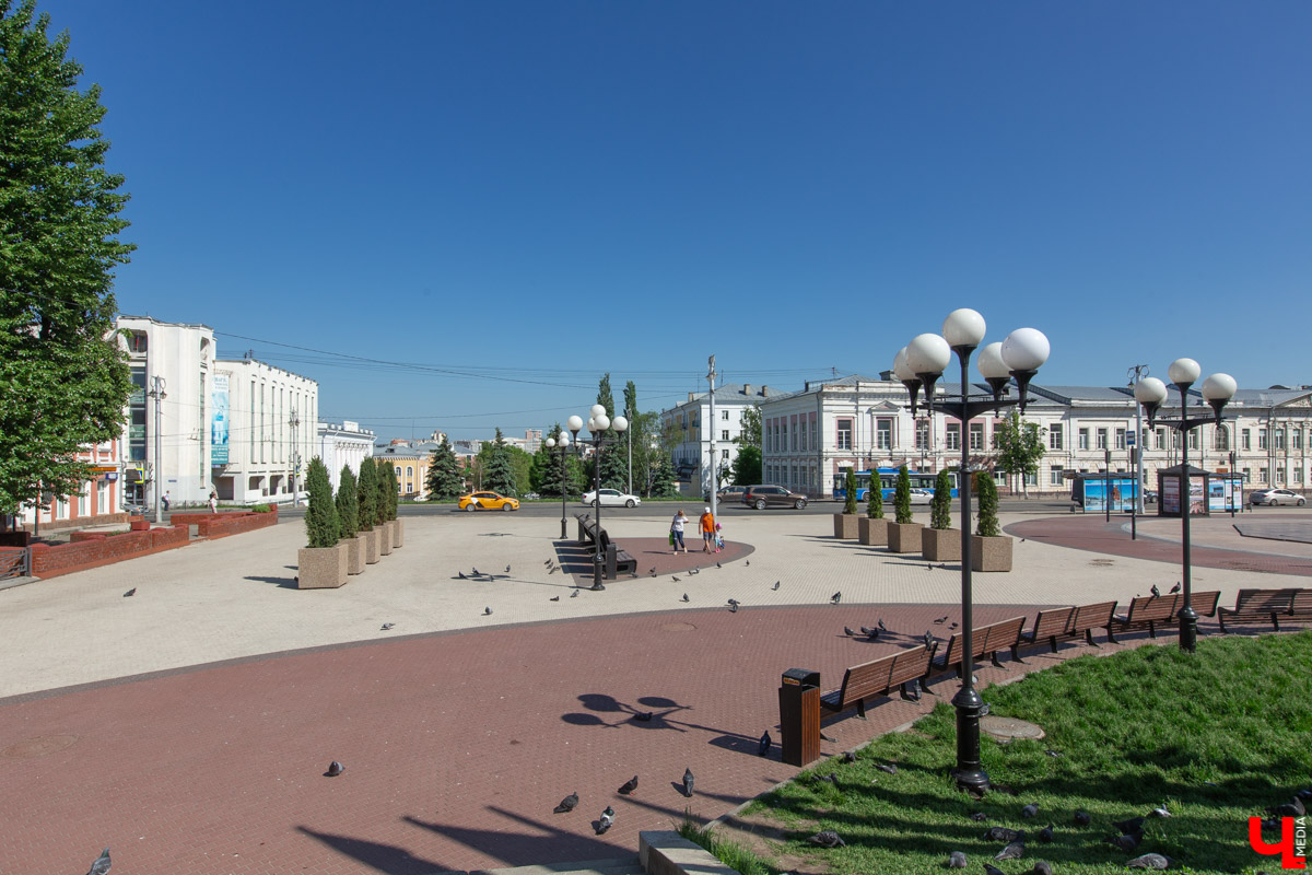 Во Владимире царит жара, и единственное, что хочется в такую погоду, находясь на солнцепеке, – укрыться в тени развесистой кроны деревьев. А сделать это в нашем городе в последнее время все труднее.