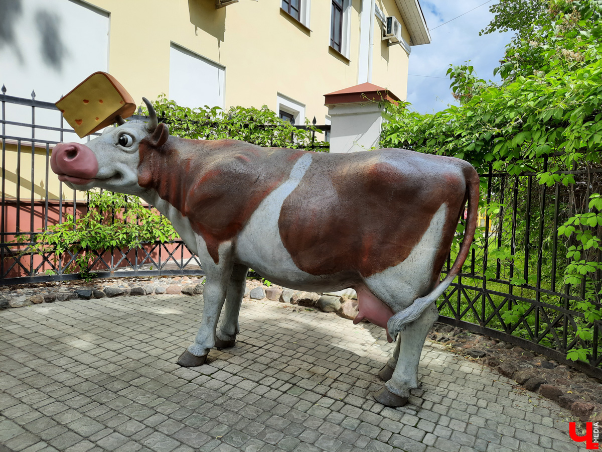 Ехать некуда? Да бросьте! Бросьте дела и айда в Кострому. Мы там побывали, делимся впечатлениями и фото.