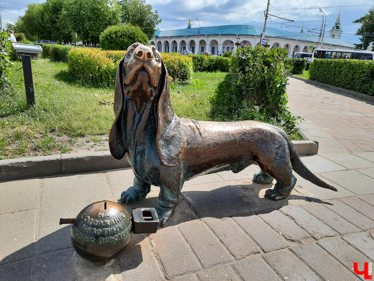 Ехать некуда? Да бросьте! Бросьте дела и айда в Кострому. Мы там побывали, делимся впечатлениями и фото.