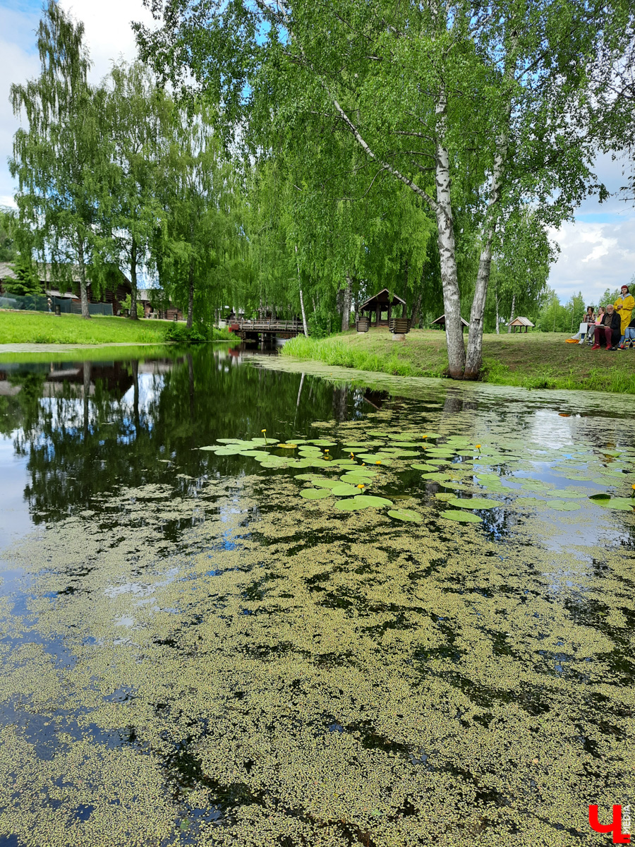 Ехать некуда? Да бросьте! Бросьте дела и айда в Кострому. Мы там побывали, делимся впечатлениями и фото.