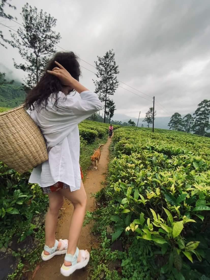 Владимирская танцовщица Алена Пона этим летом выбрала местом для отдыха Шри-Ланку – страну чая, джунглей, азиатского колорита и серфинга. Побывав там, девушка осталась под приятным впечатлением. Чем же пленил ее райский уголок?