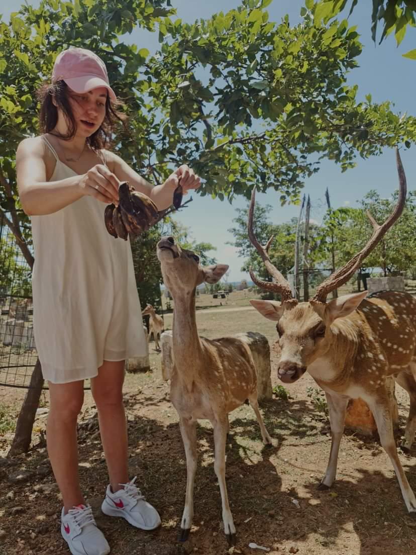 Владимирская танцовщица Алена Пона этим летом выбрала местом для отдыха Шри-Ланку – страну чая, джунглей, азиатского колорита и серфинга. Побывав там, девушка осталась под приятным впечатлением. Чем же пленил ее райский уголок?