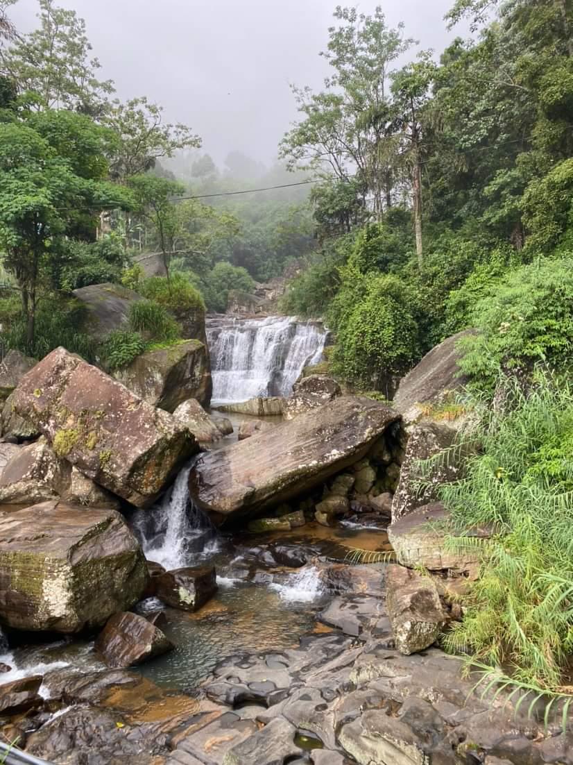 Владимирская танцовщица Алена Пона этим летом выбрала местом для отдыха Шри-Ланку – страну чая, джунглей, азиатского колорита и серфинга. Побывав там, девушка осталась под приятным впечатлением. Чем же пленил ее райский уголок?
