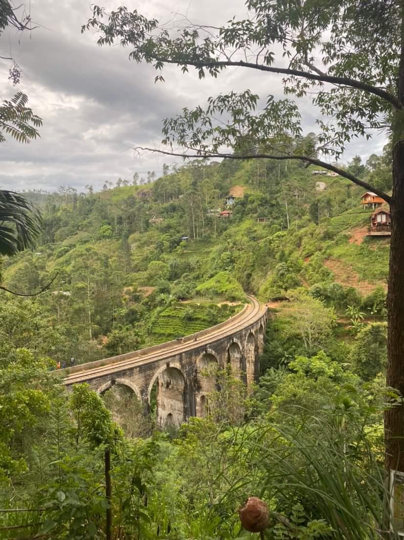 Владимирская танцовщица Алена Пона этим летом выбрала местом для отдыха Шри-Ланку – страну чая, джунглей, азиатского колорита и серфинга. Побывав там, девушка осталась под приятным впечатлением. Чем же пленил ее райский уголок?