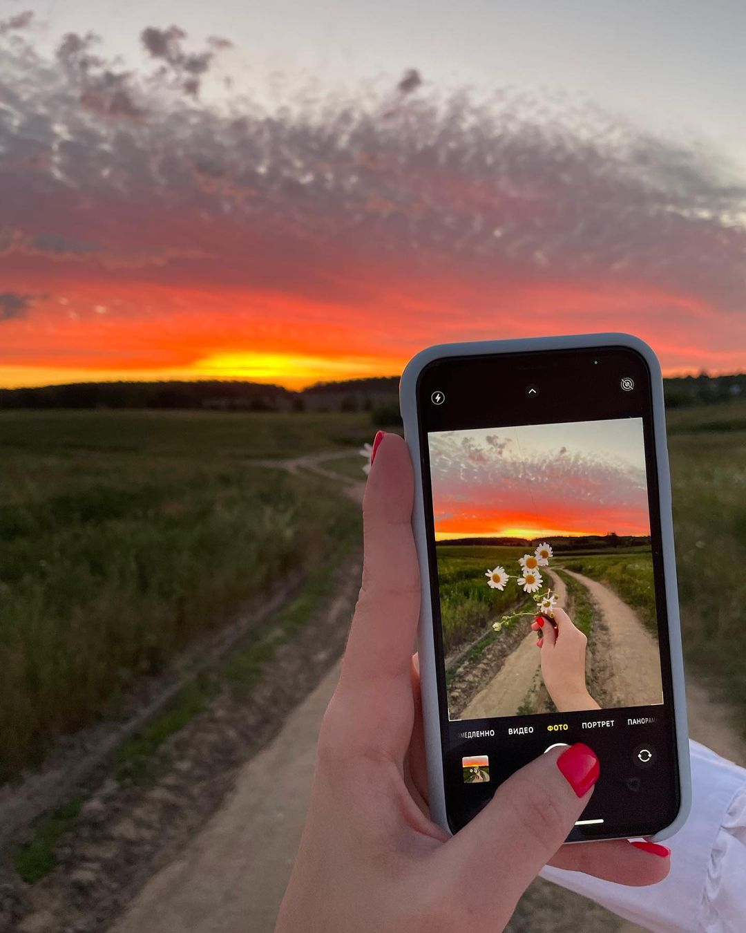 Как только день начинает катиться к закату, местные ценители прекрасного готовы оставить все дела, достать телефоны и сделать красивые кадры на фоне уходящего солнца. Делимся с вами их настроением, а заодно и живописными вечерними пейзажами.