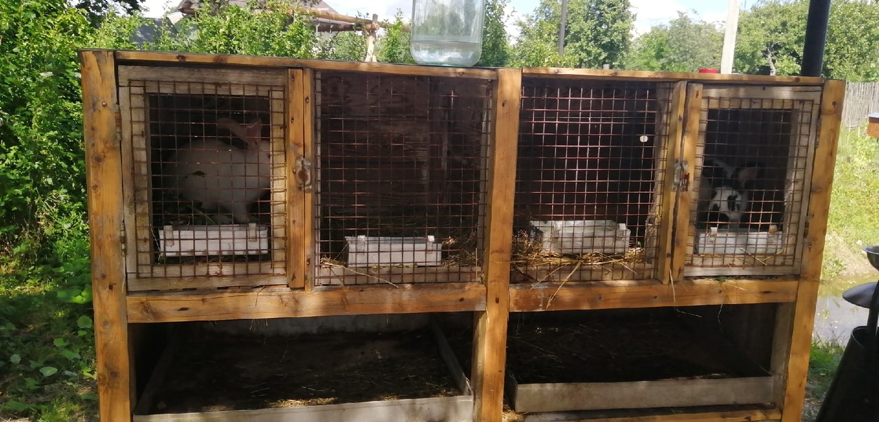 В июле администрация Собинского района презентовала маршрут «По Суворовским местам», который охватывает села Ундол, Черкутино, Алепино, Кистыш и сельцо Орехово. Это пункты назначения не только славятся своими прекрасными видами. Это сама история, связанная с выдающимися людьми Владимирщины.