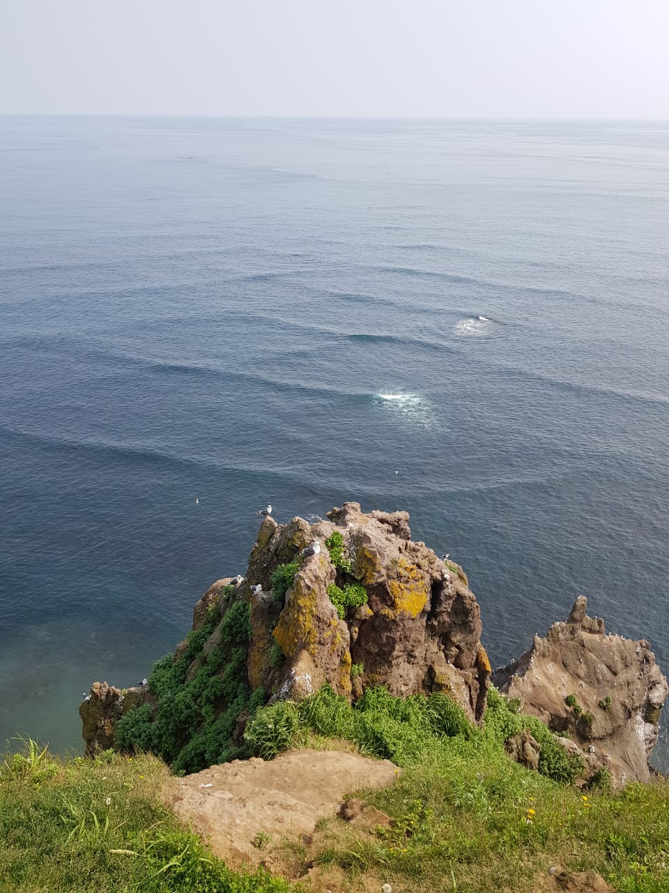 В августе съемочная команда из Владимира отправится в автомобильный тур от Владивостока до Москвы, охватывая живописные локации и уникальные кейсы региональных бизнесменов, а ценители роуд-контента смогут наблюдать за поездкой в режиме реального времени.