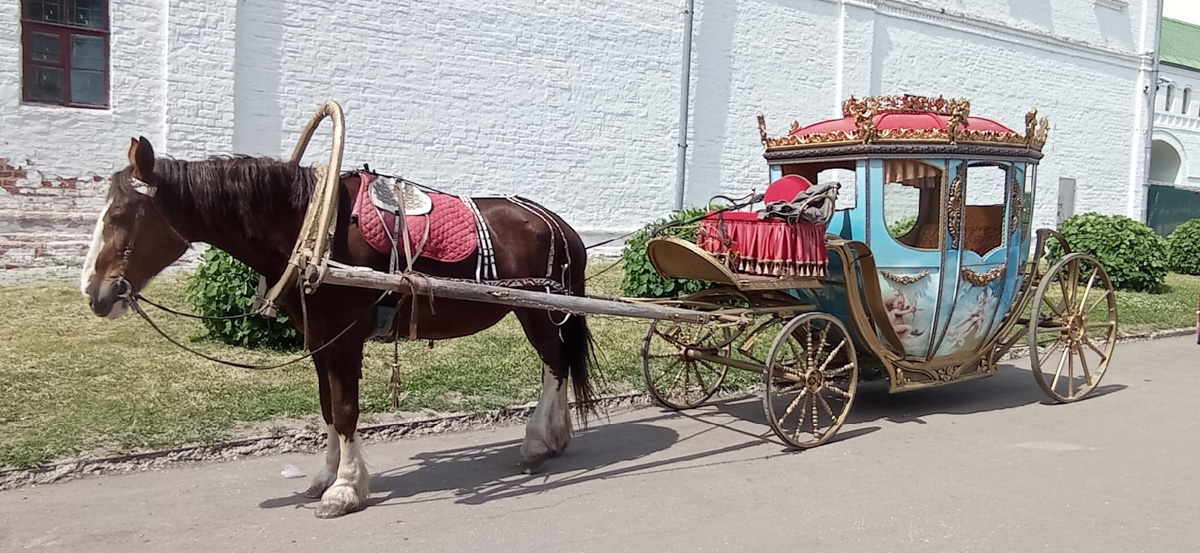 Этим летом в Суздаль приедут тысячи гостей. А сколько они сделают снимков древнего города, сосчитать невозможно. Туристические места и тайные улочки, на которых можно спрятаться от всего мира. Настоящая сувенирная шкатулка нашей страны, которую каждый открывает для себя сам, в объективе гостей и местных жителей.