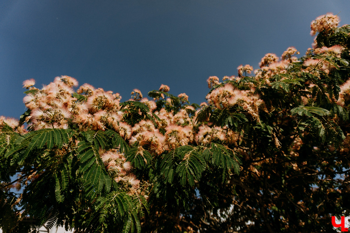 С каждым годом (начиная с 2020-го) возможность проведения отпуска на тёплом морюшке кажется всё более призрачной. Популярные заграничные курорты взвинтили цены на проживание втридорога, да и перелёт обходится в половину стоимости самолёта… Проверяем, как санкции сказались на курортах Чёрного моря, а также составляем примерный план действий экономного путешественника.