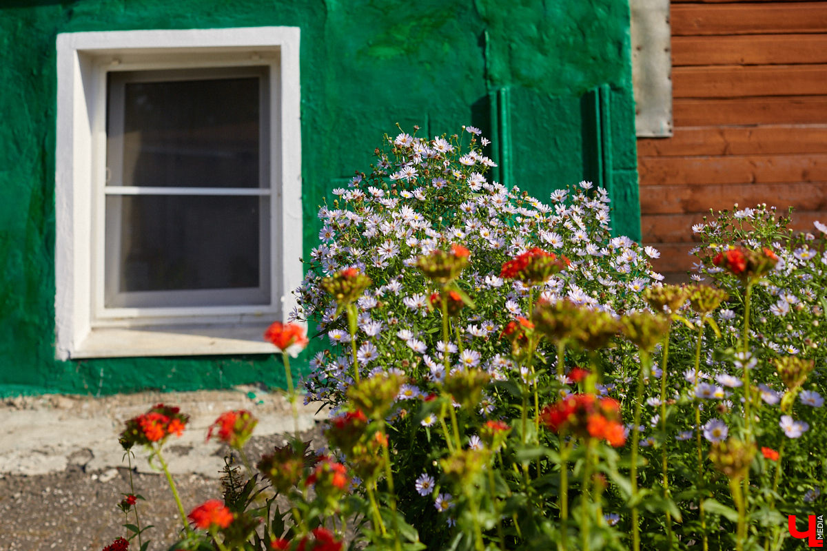 Во Владимире есть небольшая, но очень уютная улица — Ильинская-Покатая. Что о ней помнят старожилы? Откуда взялось название? Попробуем заглянуть в прошлое!