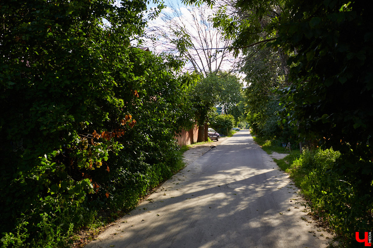 Во Владимире есть небольшая, но очень уютная улица — Ильинская-Покатая. Что о ней помнят старожилы? Откуда взялось название? Попробуем заглянуть в прошлое!