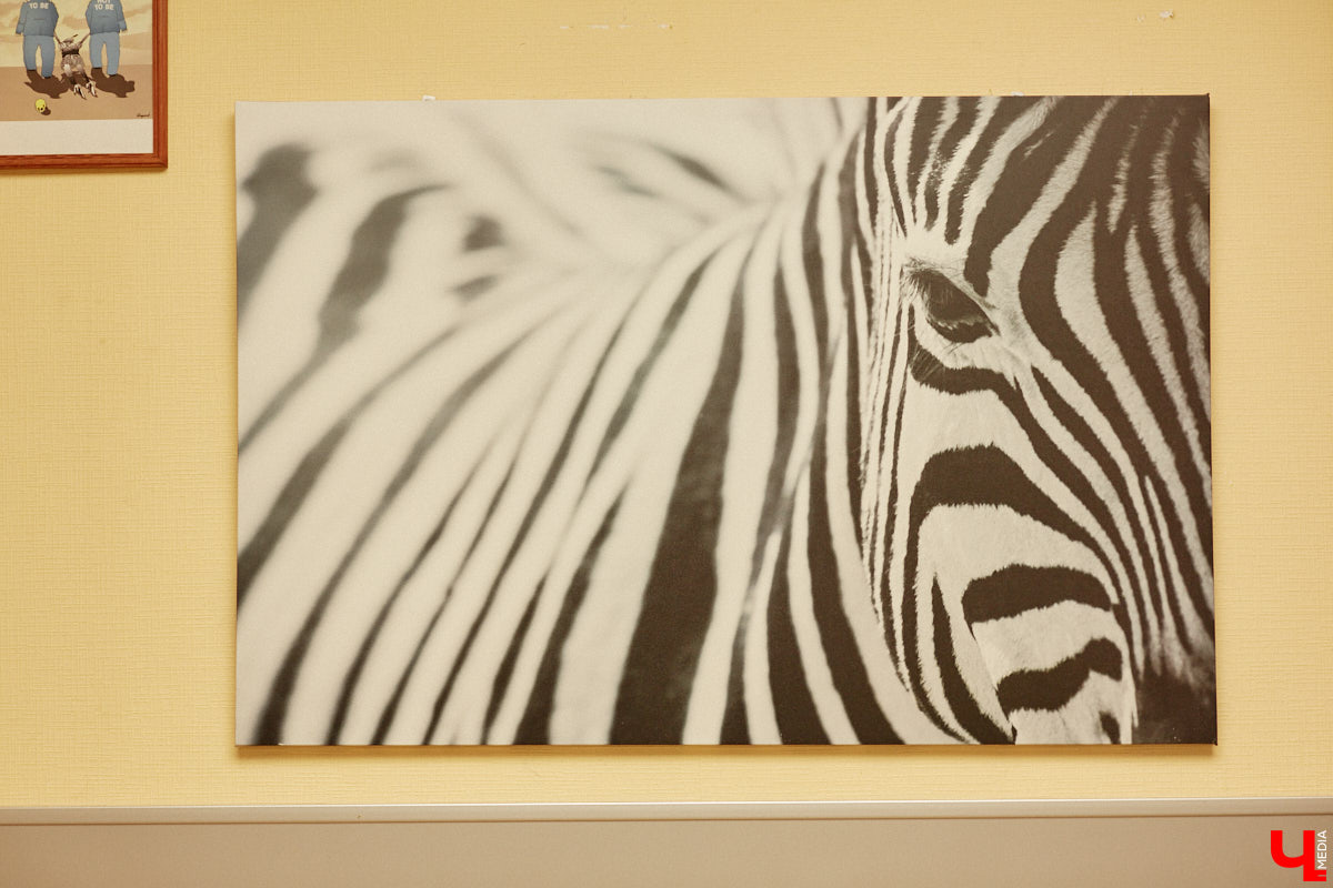 «Зебра ТВ» исполняется 10 лет. Как журналисты издания решают региональные проблемы, реагируют на угрозы и берут ли взятки? О жизни редакции рассказывает один из отцов-основателей интернет-издания, его главный редактор Сергей Головинов.