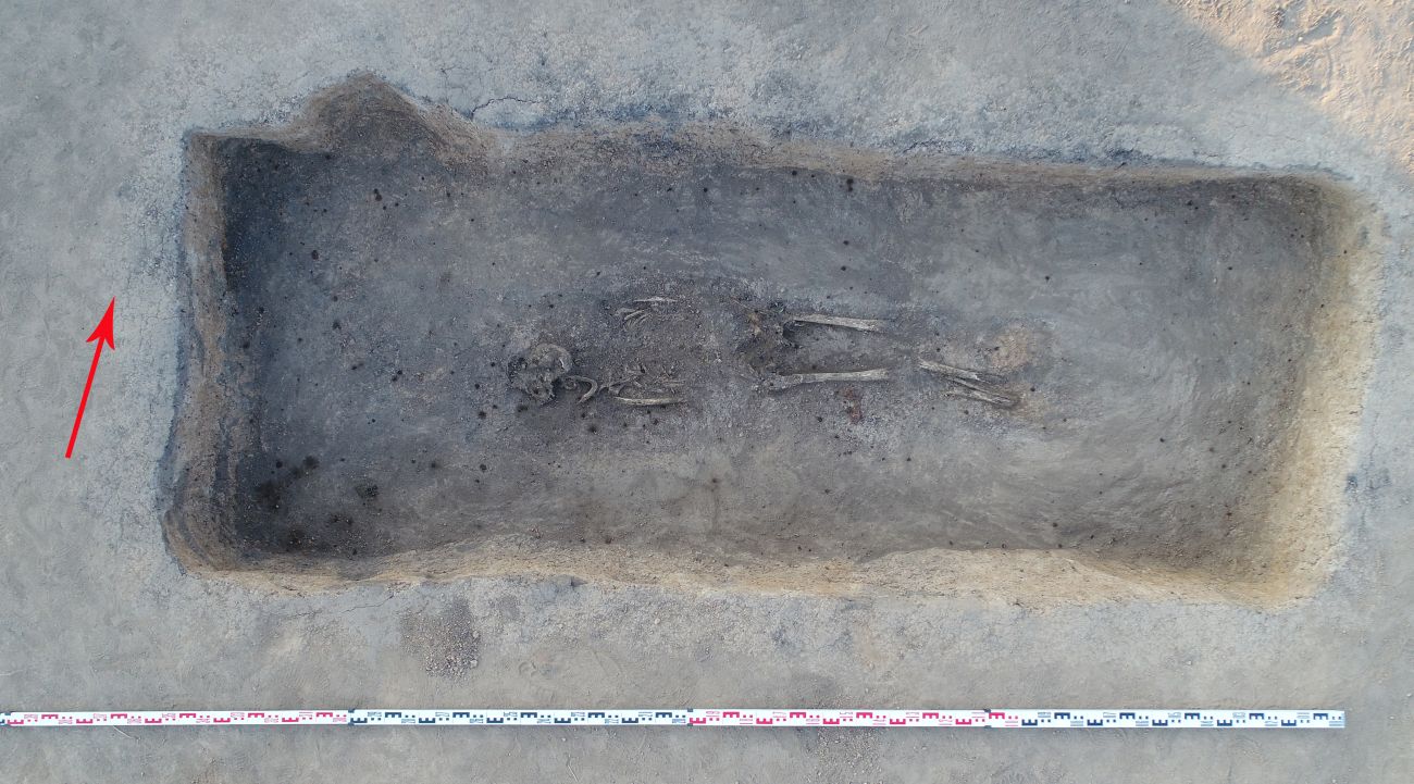 Раскопки в районе села Гнездилово продолжаются третий год и каждый раз преподносят сюрпризы. На этот раз в центре внимания захоронение мужчины с оружием.