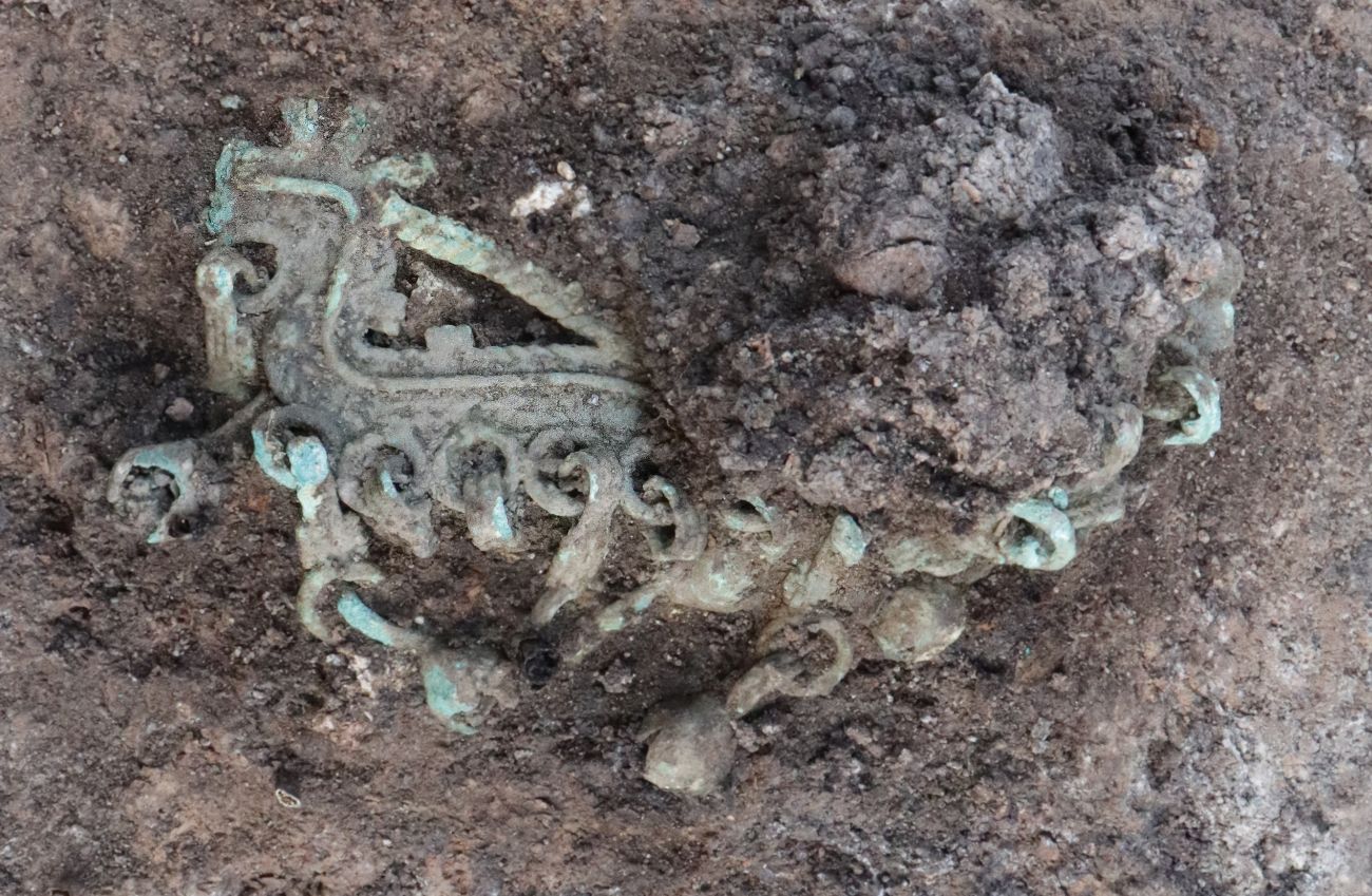 Раскопки в районе села Гнездилово продолжаются третий год и каждый раз преподносят сюрпризы. На этот раз в центре внимания захоронение мужчины с оружием.