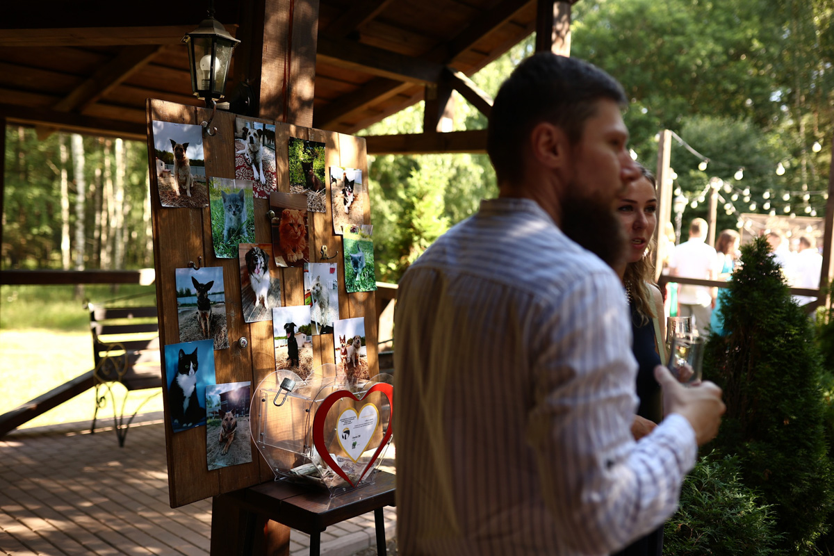 Анна и Константин Жуковы попросили своих гостей вместо покупки праздничных букетов отдать сэкономленные деньги бездомным животным владимирского приюта «Дорога добра». Какую сумму собрали молодожены, и почему пожертвования — это новый тренд? Читайте в материале.