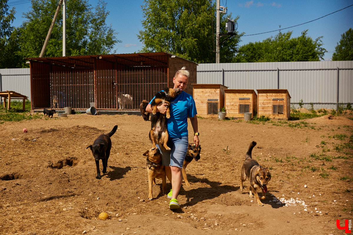 Анна и Константин Жуковы попросили своих гостей вместо покупки праздничных букетов отдать сэкономленные деньги бездомным животным владимирского приюта «Дорога добра». Какую сумму собрали молодожены, и почему пожертвования — это новый тренд? Читайте в материале.