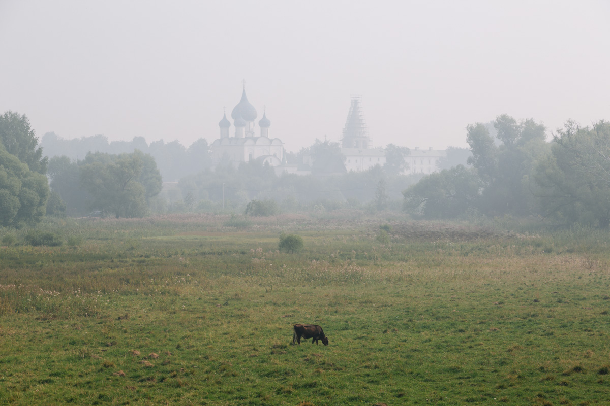 Сегодня утром владимирцам было тяжело дышать не только из-за высокой температуры воздуха, но и из-за окутавшего город смога. Сквозь дымку едва проглядывались перспективы на комфортное пребывание на улице. Метеорологам пока утешить нас нечем. В городе и местами по области ожидается аномально жаркая погода.