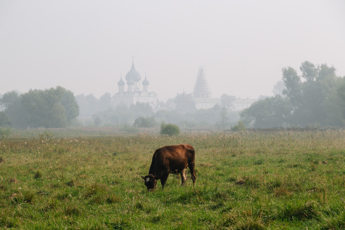 Сегодня утром владимирцам было тяжело дышать не только из-за высокой температуры воздуха, но и из-за окутавшего город смога. Сквозь дымку едва проглядывались перспективы на комфортное пребывание на улице. Метеорологам пока утешить нас нечем. В городе и местами по области ожидается аномально жаркая погода.
