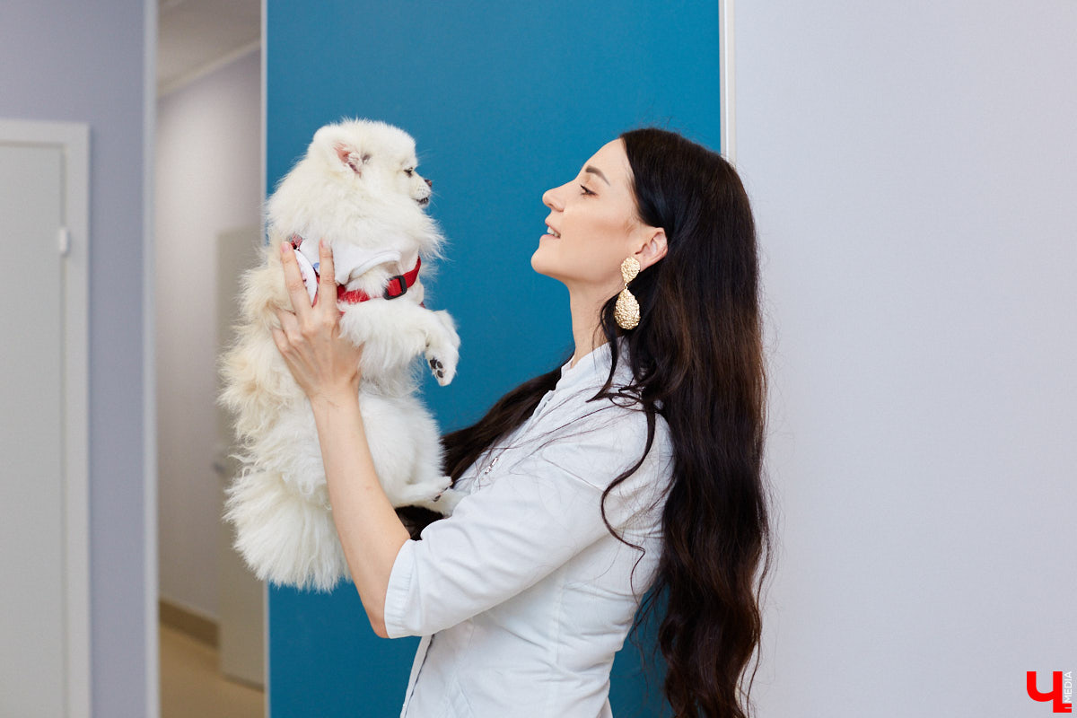 Мало кто знает, но животных надо регулярно показывать стоматологу. Профилактика и лечение полости рта может решить много проблем. И если чистка и удаление зубов — уже процедура привычная, то брекетами удивить еще можно. Кому они показаны, и где их можно установить? Разбираемся вместе.