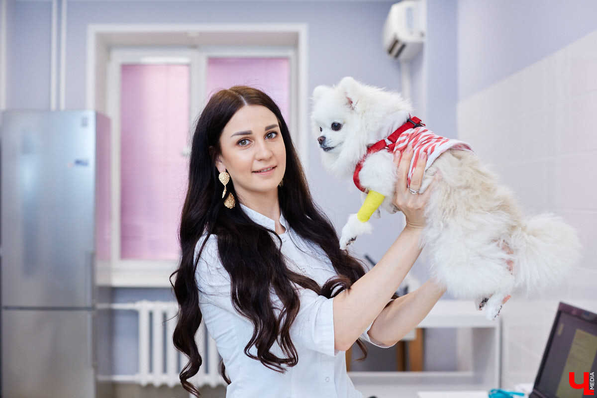 Мало кто знает, но животных надо регулярно показывать стоматологу. Профилактика и лечение полости рта может решить много проблем. И если чистка и удаление зубов — уже процедура привычная, то брекетами удивить еще можно. Кому они показаны, и где их можно установить? Разбираемся вместе.