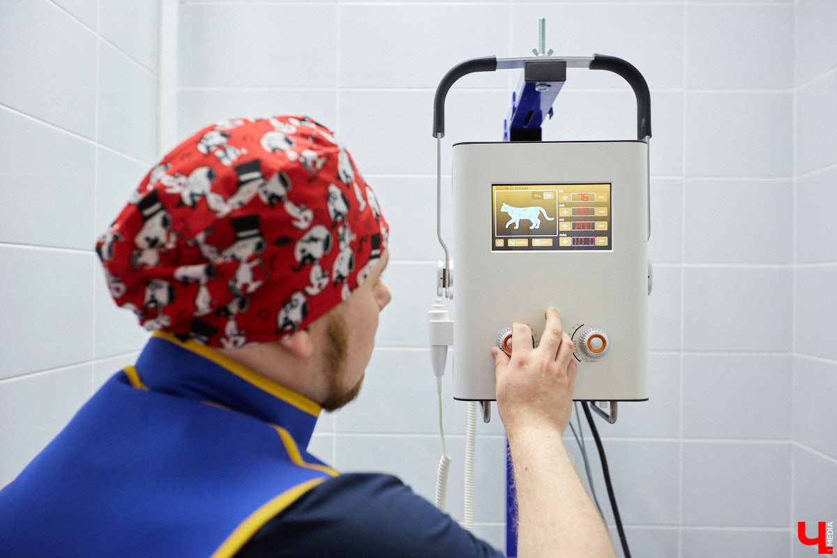 Мало кто знает, но животных надо регулярно показывать стоматологу. Профилактика и лечение полости рта может решить много проблем. И если чистка и удаление зубов — уже процедура привычная, то брекетами удивить еще можно. Кому они показаны, и где их можно установить? Разбираемся вместе.