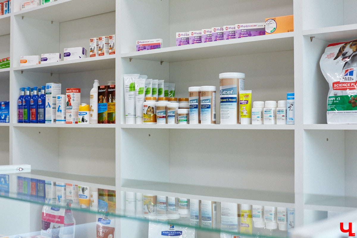 Мало кто знает, но животных надо регулярно показывать стоматологу. Профилактика и лечение полости рта может решить много проблем. И если чистка и удаление зубов — уже процедура привычная, то брекетами удивить еще можно. Кому они показаны, и где их можно установить? Разбираемся вместе.