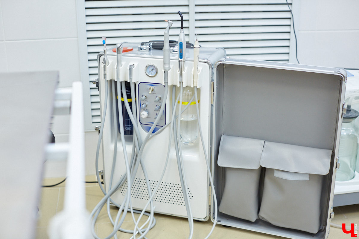 Мало кто знает, но животных надо регулярно показывать стоматологу. Профилактика и лечение полости рта может решить много проблем. И если чистка и удаление зубов — уже процедура привычная, то брекетами удивить еще можно. Кому они показаны, и где их можно установить? Разбираемся вместе.