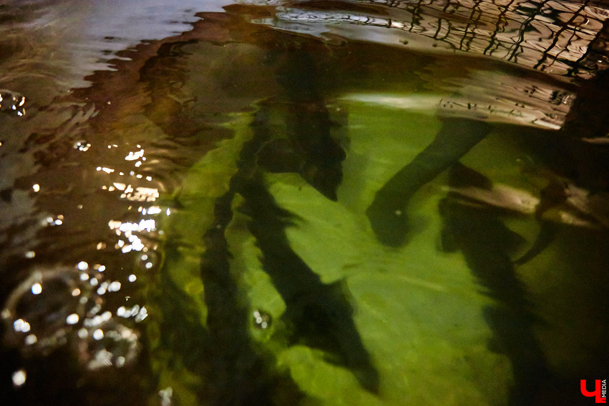 Осетры – ровесники динозавров. Рыбы редкие, краснокнижные настолько, что во Владимирской области в дикой природе почти не встречаются. Но бизнесмен Илья Рожков ежегодно старается исправить ситуацию. На этот раз мы поучаствовали в добром деле вместе с ним.