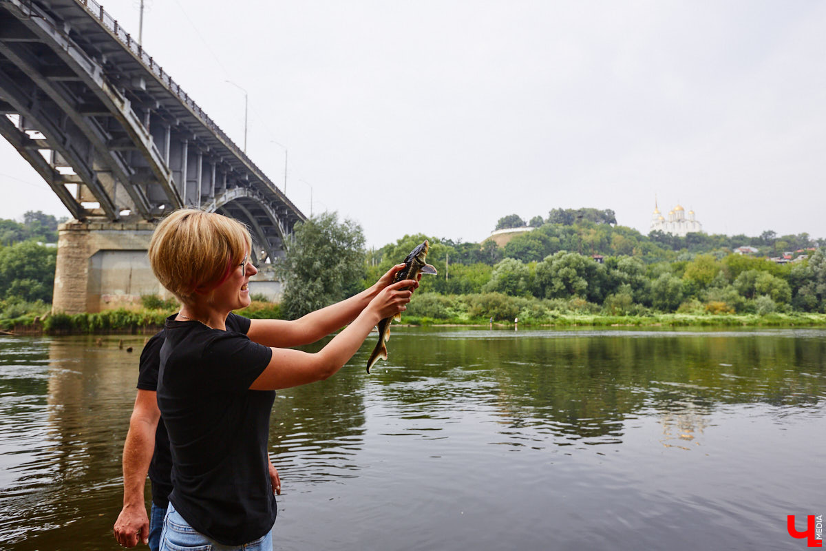 Осетры – ровесники динозавров. Рыбы редкие, краснокнижные настолько, что во Владимирской области в дикой природе почти не встречаются. Но бизнесмен Илья Рожков ежегодно старается исправить ситуацию. На этот раз мы поучаствовали в добром деле вместе с ним.