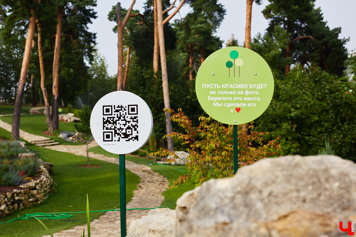 Небольшой парк «Сосенки» за филармонией стал поистине трендовым местом для отдыха в черте Владимира. Однако выдержать народную любовь ему не так-то просто. Девушки, загорающие топлес, горы бутылок и стаканчиков, даже сломанная в День города сосна. Как помочь полюбившемуся месту для отдыха?