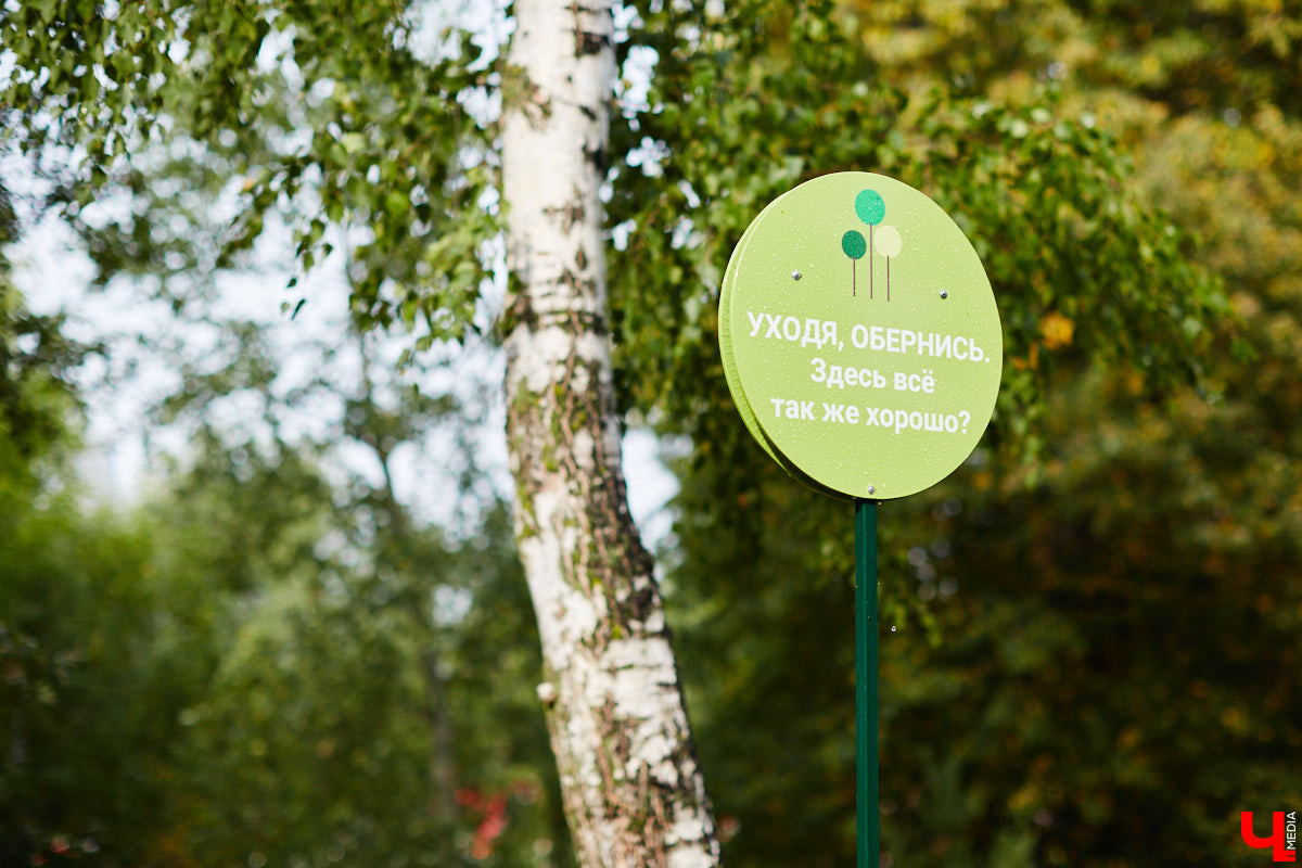 Небольшой парк «Сосенки» за филармонией стал поистине трендовым местом для отдыха в черте Владимира. Однако выдержать народную любовь ему не так-то просто. Девушки, загорающие топлес, горы бутылок и стаканчиков, даже сломанная в День города сосна. Как помочь полюбившемуся месту для отдыха?