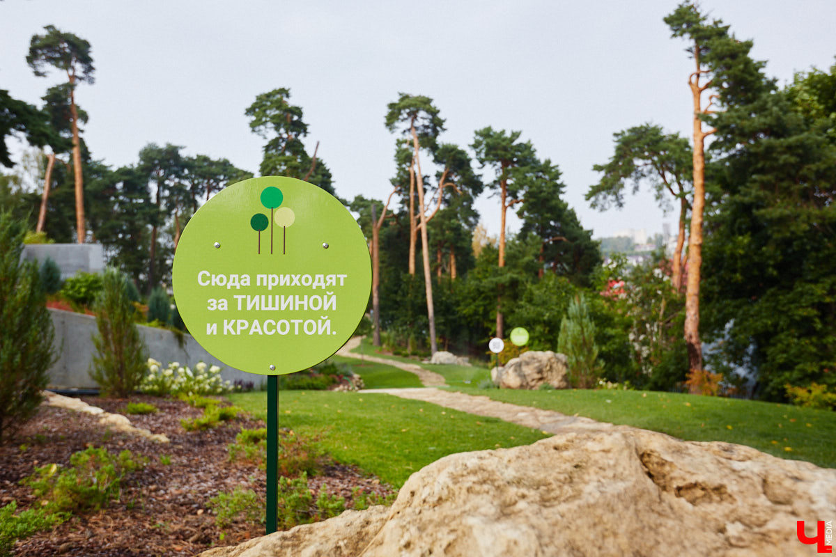 Небольшой парк «Сосенки» за филармонией стал поистине трендовым местом для отдыха в черте Владимира. Однако выдержать народную любовь ему не так-то просто. Девушки, загорающие топлес, горы бутылок и стаканчиков, даже сломанная в День города сосна. Как помочь полюбившемуся месту для отдыха?