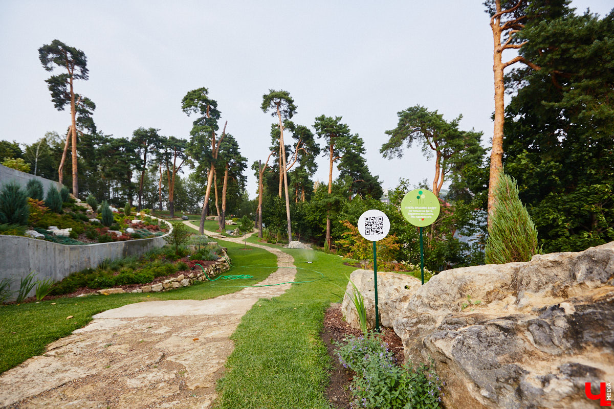 Небольшой парк «Сосенки» за филармонией стал поистине трендовым местом для отдыха в черте Владимира. Однако выдержать народную любовь ему не так-то просто. Девушки, загорающие топлес, горы бутылок и стаканчиков, даже сломанная в День города сосна. Как помочь полюбившемуся месту для отдыха?