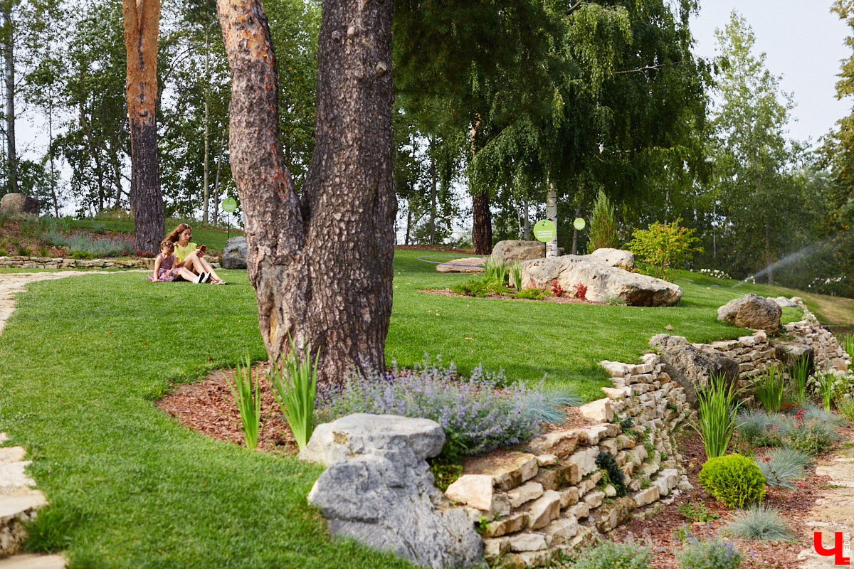 Небольшой парк «Сосенки» за филармонией стал поистине трендовым местом для отдыха в черте Владимира. Однако выдержать народную любовь ему не так-то просто. Девушки, загорающие топлес, горы бутылок и стаканчиков, даже сломанная в День города сосна. Как помочь полюбившемуся месту для отдыха?