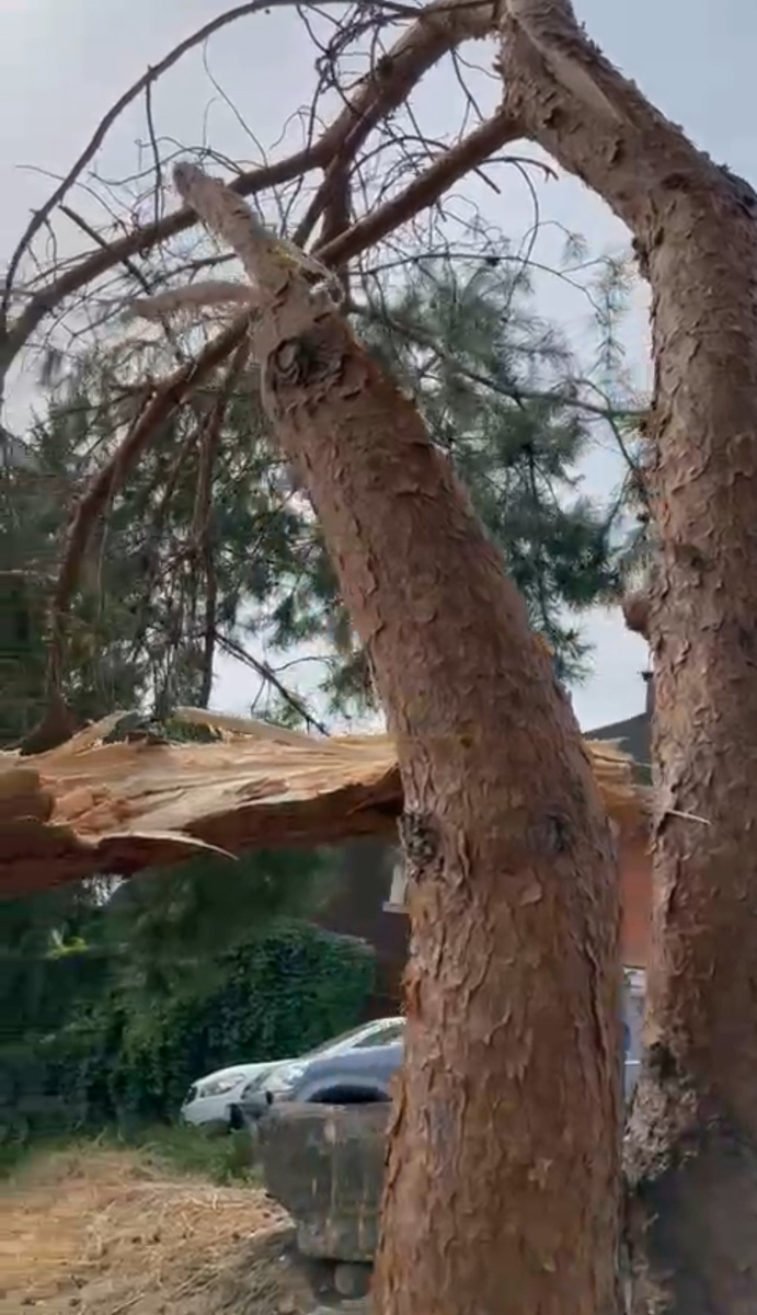 Небольшой парк «Сосенки» за филармонией стал поистине трендовым местом для отдыха в черте Владимира. Однако выдержать народную любовь ему не так-то просто. Девушки, загорающие топлес, горы бутылок и стаканчиков, даже сломанная в День города сосна. Как помочь полюбившемуся месту для отдыха?