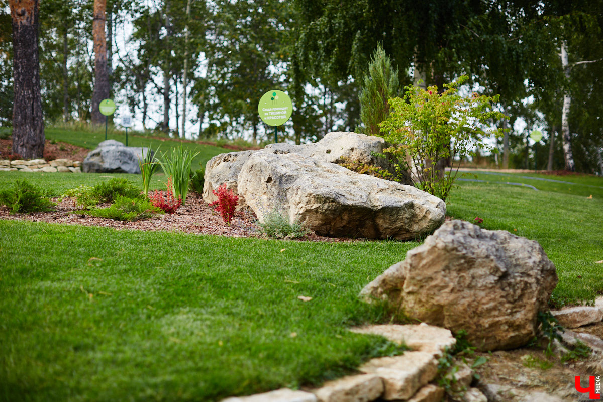 Небольшой парк «Сосенки» за филармонией стал поистине трендовым местом для отдыха в черте Владимира. Однако выдержать народную любовь ему не так-то просто. Девушки, загорающие топлес, горы бутылок и стаканчиков, даже сломанная в День города сосна. Как помочь полюбившемуся месту для отдыха?