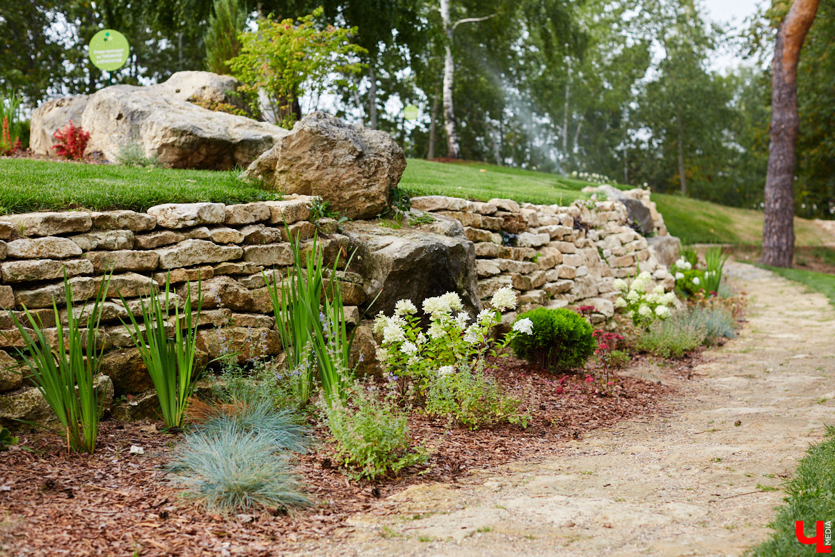 Небольшой парк «Сосенки» за филармонией стал поистине трендовым местом для отдыха в черте Владимира. Однако выдержать народную любовь ему не так-то просто. Девушки, загорающие топлес, горы бутылок и стаканчиков, даже сломанная в День города сосна. Как помочь полюбившемуся месту для отдыха?