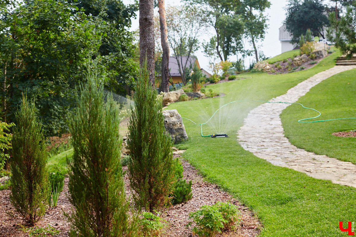 Небольшой парк «Сосенки» за филармонией стал поистине трендовым местом для отдыха в черте Владимира. Однако выдержать народную любовь ему не так-то просто. Девушки, загорающие топлес, горы бутылок и стаканчиков, даже сломанная в День города сосна. Как помочь полюбившемуся месту для отдыха?