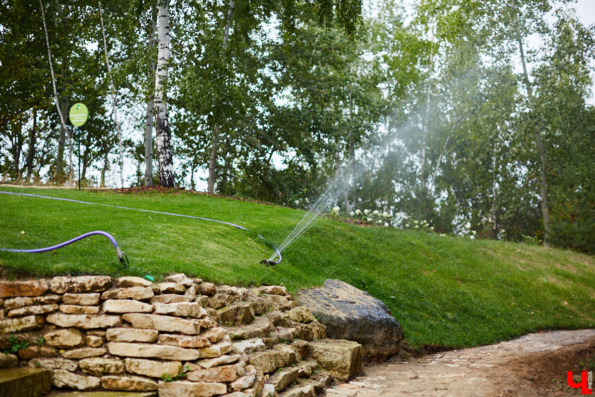 Небольшой парк «Сосенки» за филармонией стал поистине трендовым местом для отдыха в черте Владимира. Однако выдержать народную любовь ему не так-то просто. Девушки, загорающие топлес, горы бутылок и стаканчиков, даже сломанная в День города сосна. Как помочь полюбившемуся месту для отдыха?