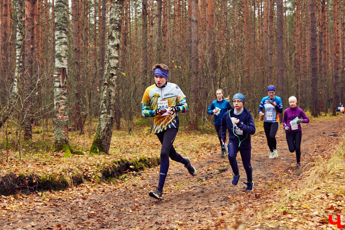 «Ключ-Медиа» изучил предложения городских школ и клубов с бесплатными занятиями для детей, ведущими набор воспитанников в новом учебном году. Торопитесь! Количество мест в некоторых из них ограничено.