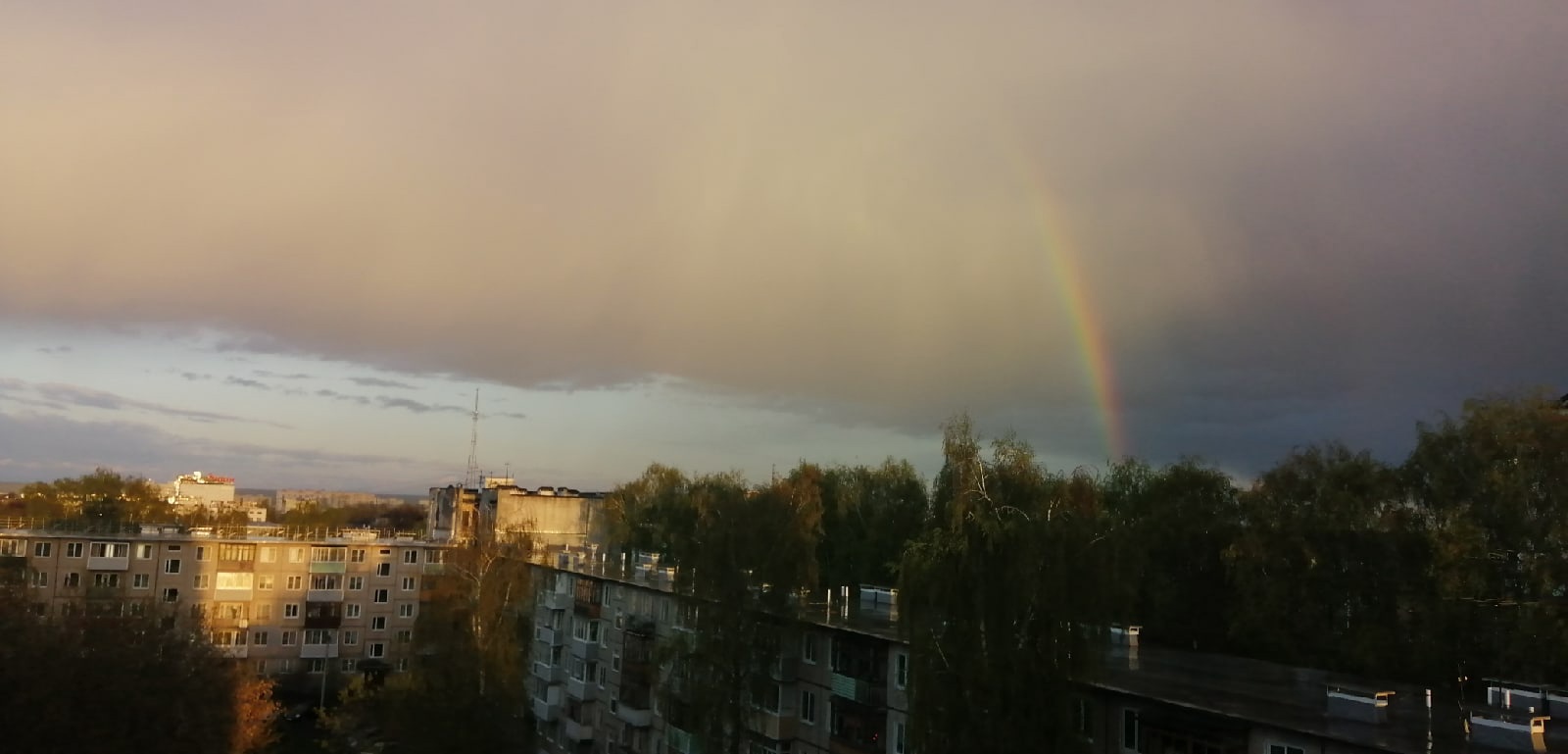 Жители Владимирской области смогли запечатлеть в небе редкую тройную радугу. Фотографии красивого оптического явления появились в Интернете. 