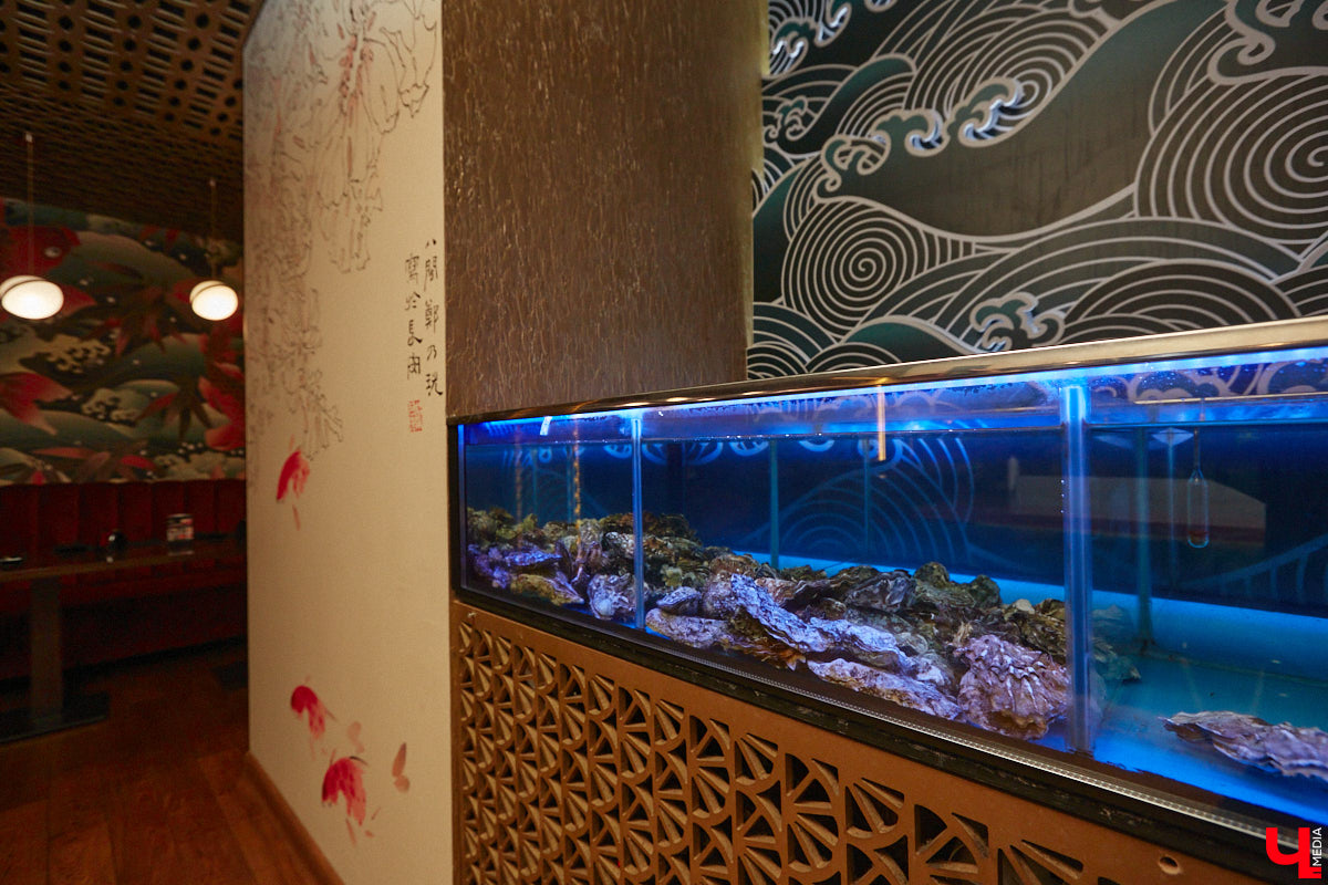 Что делать, когда привычные рамки становятся тесными, а гостей хочется продолжать удивлять? Конечно же расширять поле своей деятельности! Именно такое решение принял знаменитый на весь город ресторан «Кабуки 2.0». Теперь к услугам всех и каждого не только изысканная паназиатская кухня, но и разнообразное европейское меню.