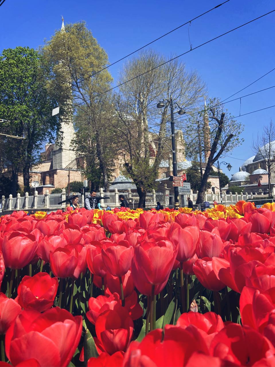 Жительница Владимира Анна Торосян с апреля живет в Стамбуле. За прошедшие месяцы у нее уже сложилось свое представление о том, чем же он отличается от родного города. Итак, погружаемся в атмосферу Турции и узнаем о ее столице все самое интересное.