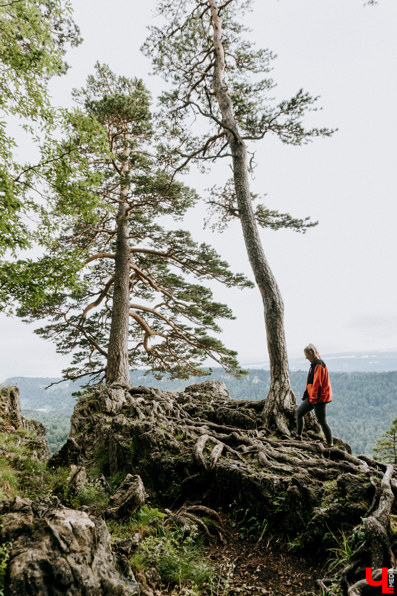 «Лучше гор бывают только горы» — эта присказка знакома каждому, кто хоть раз бывал на юге. Проверим её на практике. Как подготовиться к путешествию по вершинам, чего от него ожидать и стоит ли вообще отправляться на рискованную прогулку? Испытано на себе. Фотографии, от которых кружится голова, прилагаются.
